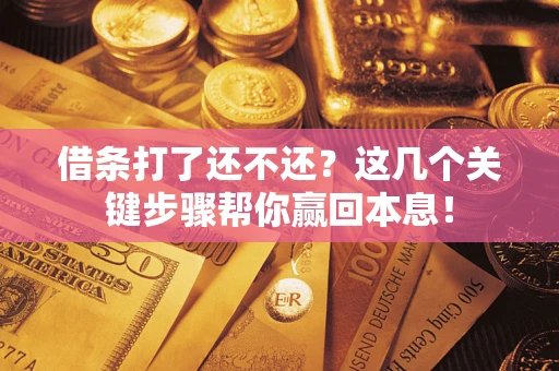 武汉借条打了还不还？这几个关键步骤帮你赢回本息！