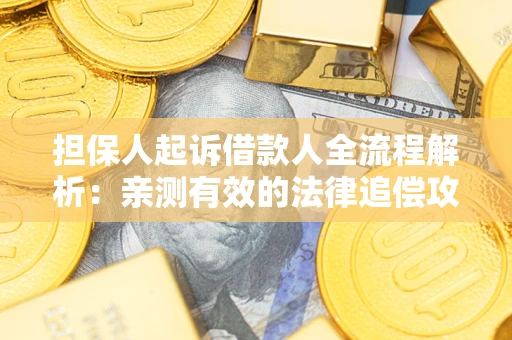 武汉担保人起诉借款人全流程解析：亲测有效的法律追偿攻略
