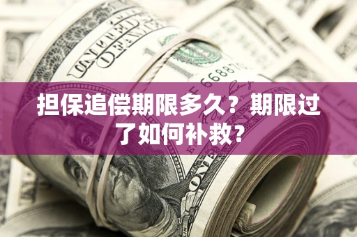 武汉担保追偿期限多久？期限过了如何补救？