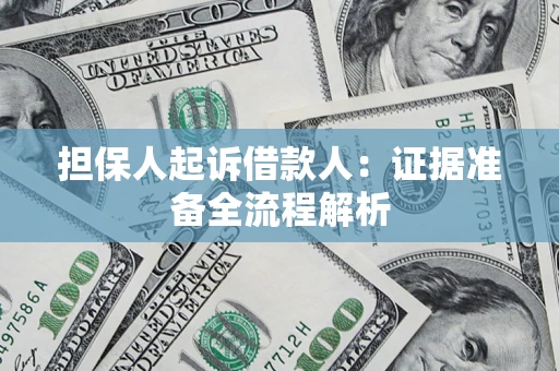 武汉担保人起诉借款人：证据准备全流程解析