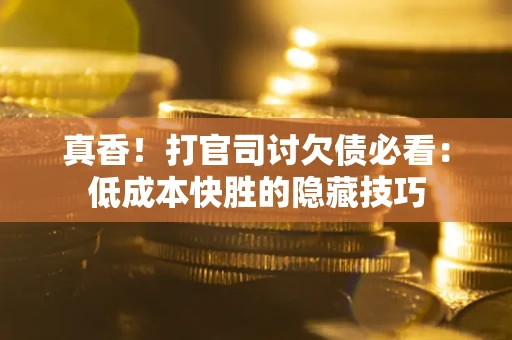 武汉真香！打官司讨欠债必看：低成本快胜的隐藏技巧