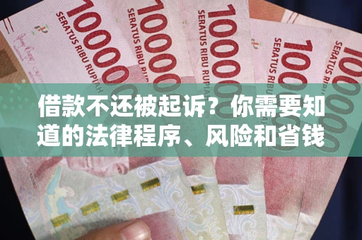 武汉借款不还被起诉？你需要知道的法律程序、风险和省钱技巧