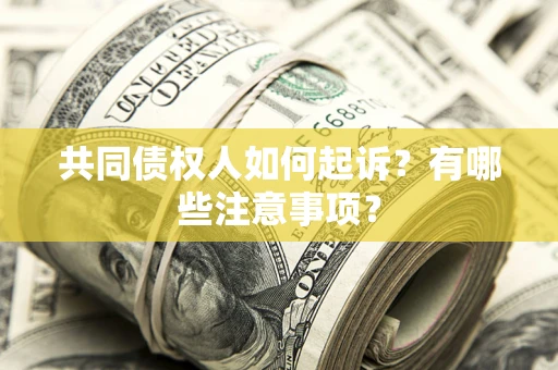 武汉共同债权人如何起诉？有哪些注意事项？