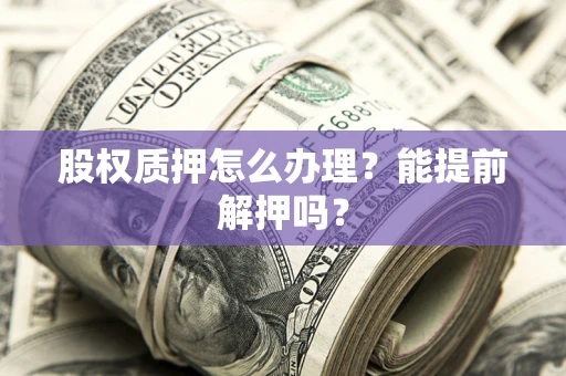 武汉股权质押怎么办理？能提前解押吗？
